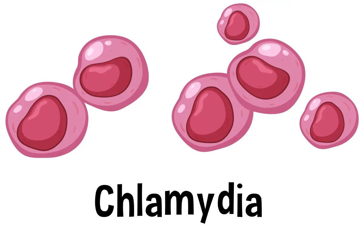 Clamidioza sau infectia cu Chlamydia Trachomatis