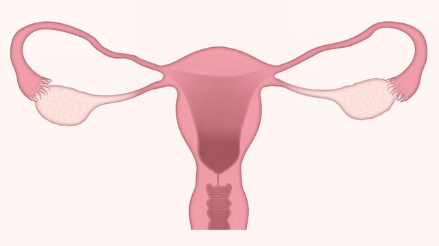 Candidoza vaginala – Simptome si preventie