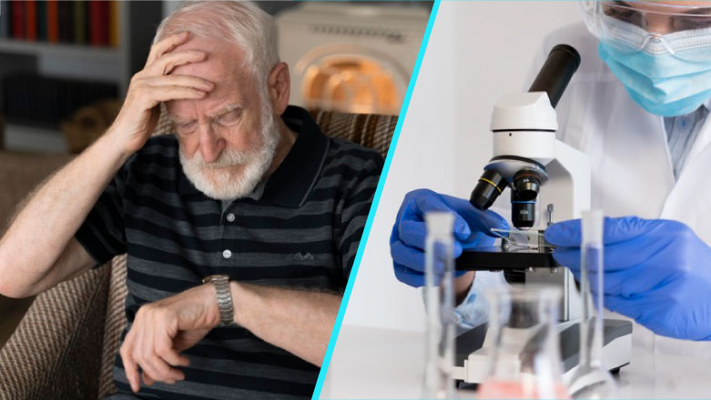 Cum evolueaza boala Alzheimer | Noile descoperiri pot influenta viitoarele tratamente