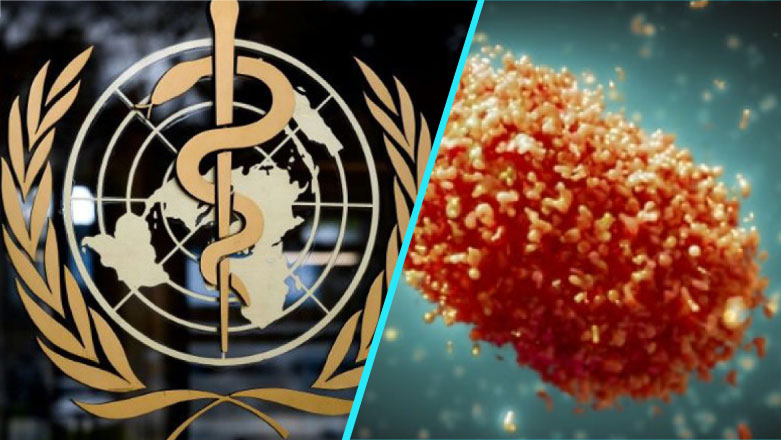 OMS a raportat 14.000 de cazuri de variola maimutei la nivel mondial