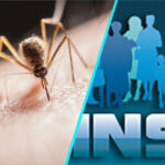 Virusul West Nile in Romania: 95 de cazuri si 5 decese raportate de INSP