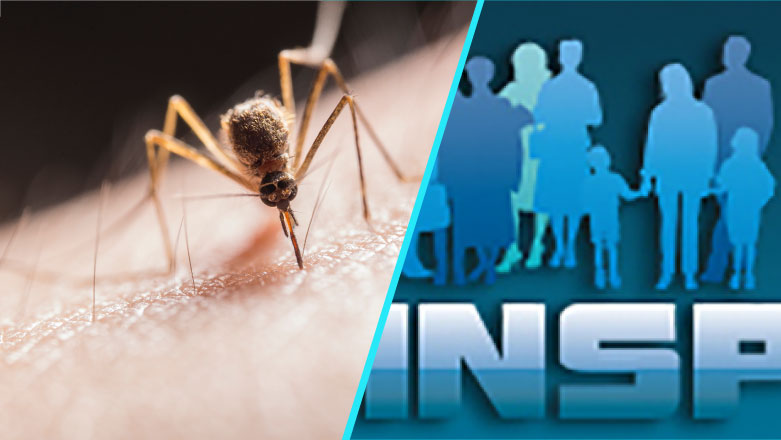 Cel mai mare numar de cazuri de infectie cu virusul West Nile din ultimii ani