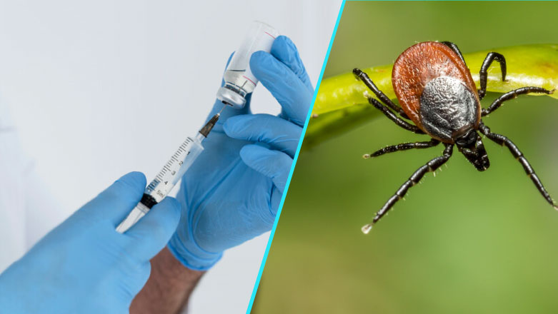 Encefalita de capusa poate fi prevenita prin vaccinare