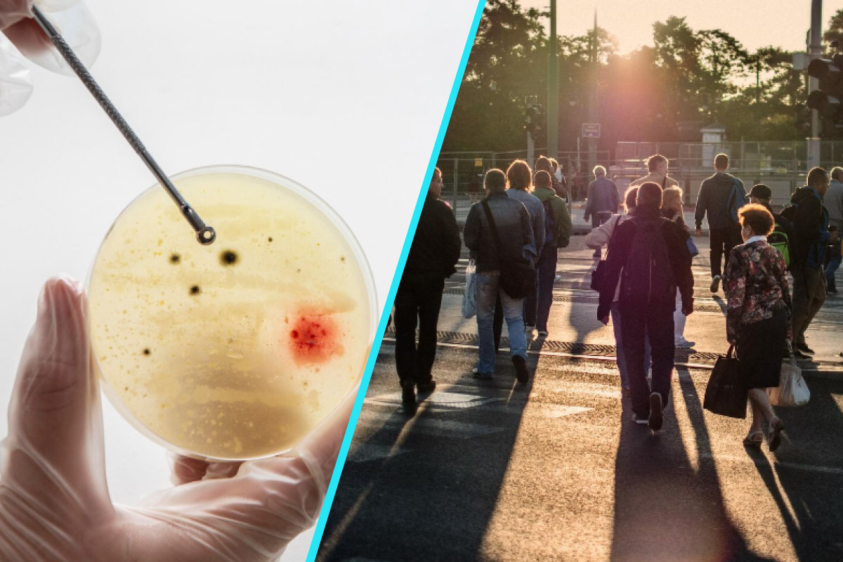 Europa, in pragul unei crize: Infectiile bacteriene rezistente la antibiotice vor exploda