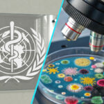 Antibioticele viitorului: OMS anunta noi directii in lupta cu bacteriile rezistente