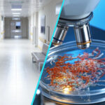 Clona bacteriana rezistenta Klebsiella pneumoniae, posibil endemica in Romania