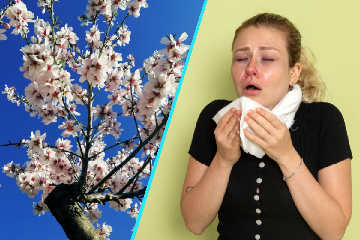 Primavara nu vine doar cu flori, ci si cu alergii | De ce stranutam mai mult ca niciodata?