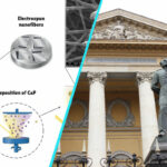 UMFCD dezvolta biomateriale avansate pentru regenerare osoasa