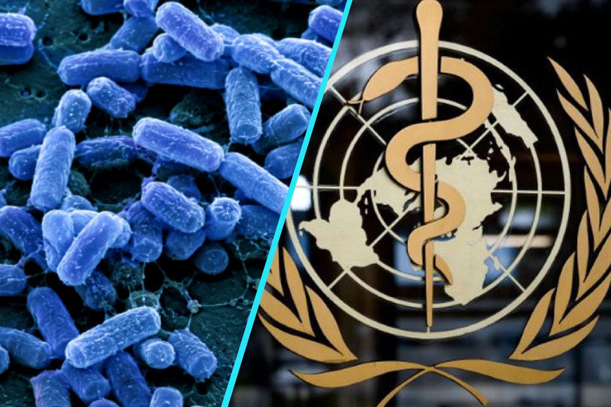 Raport OMS: Infectiile fungice, un risc major pentru sanatatea globala