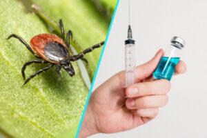 Agentia Europeana a Medicamentului evalueaza primul vaccin experimental impotriva bolii Lyme