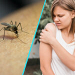 Nu ignora intepaturile de tantar! Pericolul numit West Nile