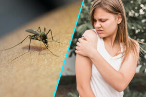 Nu ignora intepaturile de tantar! Pericolul numit West Nile