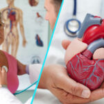 Bolile cardiovasculare la femei | Noi recomandari de preventie, din adolescenta pana la menopauza