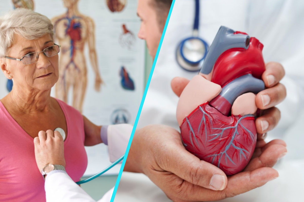 Bolile cardiovasculare la femei | Noi recomandari de preventie, din adolescenta pana la menopauza